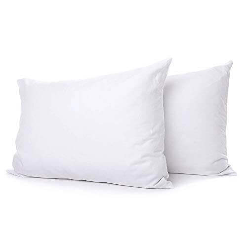 Exceptional Sheets Extra Soft Down Filled Pillow
