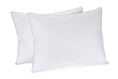 Style Furnishings Hypoallergenic Pillows